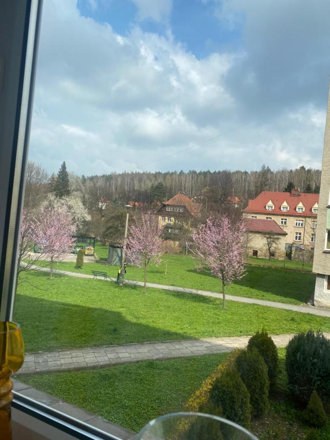 Apartament Centrum Appartement Polanica-Zdrój Buitenkant foto